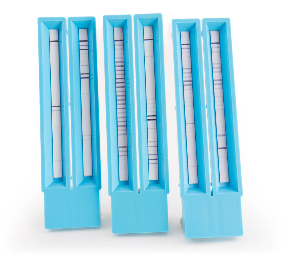 AlleisaScreen 60 panels