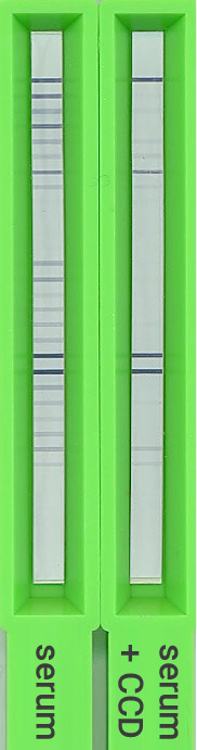 Two AlleisaScreen troughs. In the left trough, a lot of signal lines are visible. In the right trough, some of those lines do not show.