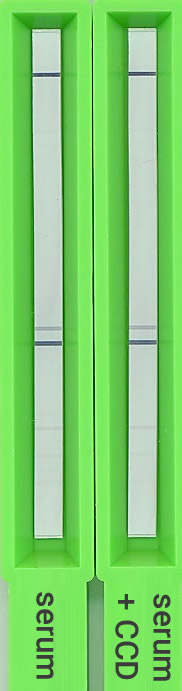 Two AlleisaScreen troughs. In the left trough, a couple of signal lines are visible. In the right trough, the exact same lines show.